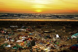 beach, trash, pollution-4894539.jpg