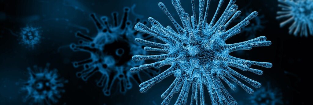 virus, microscope, infection-4030721.jpg