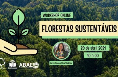 Workshop online Florestas Sustentáveis