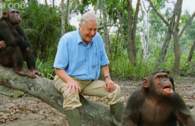 Mundo maravilhoso de David Attenborough