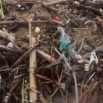 “O lixo marinho não nasce no mar” – Prémio Reportagem do Mês de Janeiro