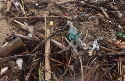“O lixo marinho não nasce no mar” – Prémio Reportagem do Mês de Janeiro