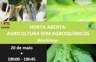 Workshop: horta aberta, agricultura sem agroquímicos